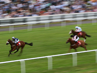 http://betting.betfair.com/horse-racing/Three-horses-at-finish-371.gif
