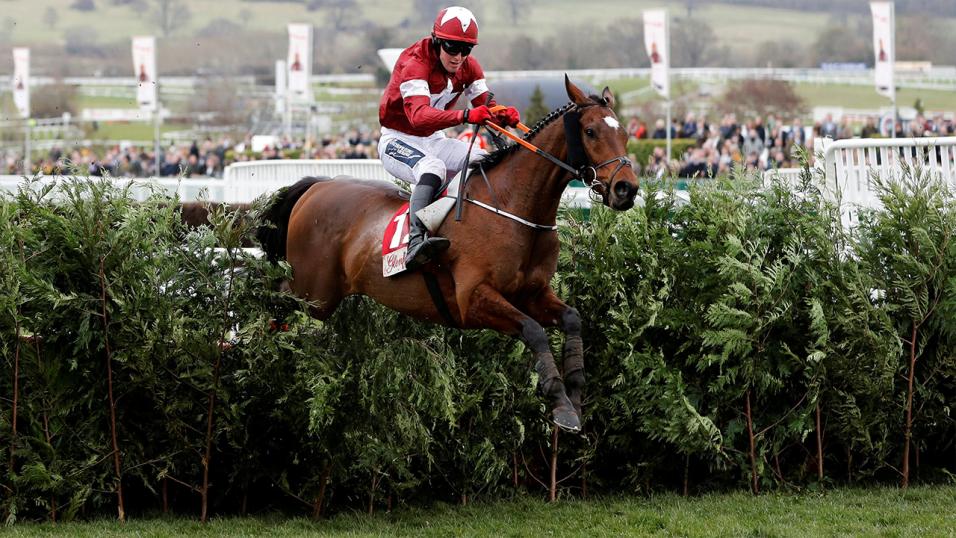 Sport équestre Avec Le Style De Course D'obstacles De L'Angleterre