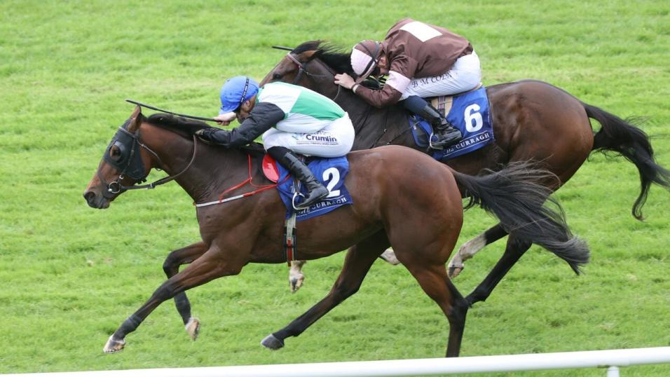 Horse Racing Tips: Wednesday's 79/1 Tipperary double