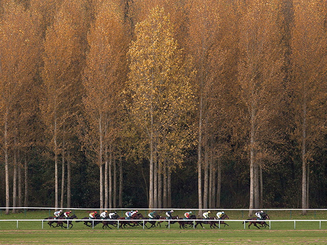 Towcester stages a six-race card today