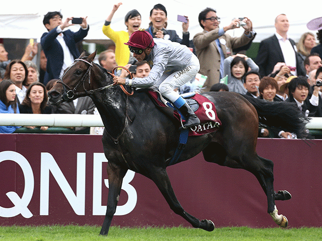 Two time Arc winner Treve is in action on Sunday 