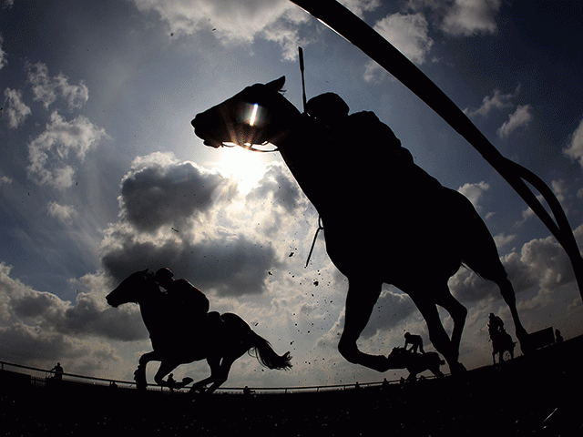 Will you get involved in the evening racing at Worcester and Gowran?