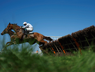 http://betting.betfair.com/horse-racing/Two-horses-take-hurdle-ground-level-371.gif