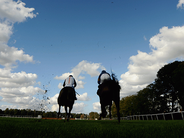 https://betting.betfair.com/horse-racing/Two-runners-behind-blue-skies-640.gif