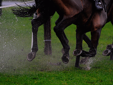 Conditions will be testing at Thurles today