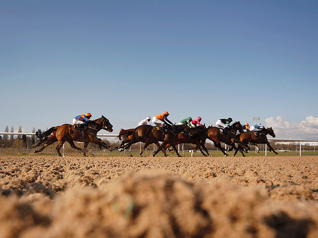 The market movers are in for Wolverhampton and the afternoon's other meetings