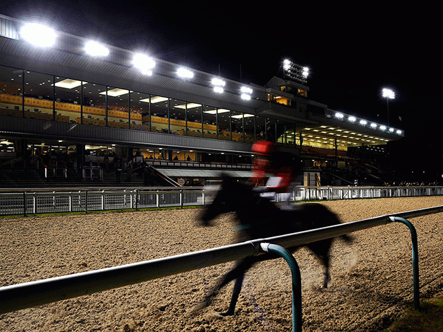 Saturday's evening racing comes from Wolverhampton