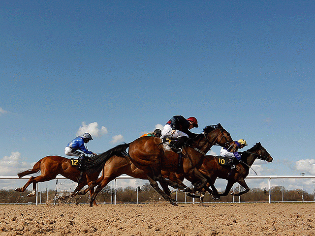 We're racing at Wolverhampton (pictured) and Pontefract this afternoon