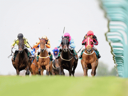 https://betting.betfair.com/horse-racing/Yarmouth-front-on-rails-640.gif