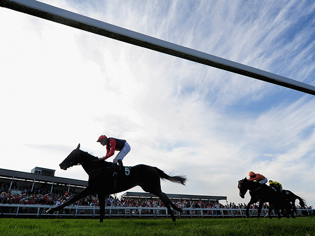 We're racing at Yarmouth (pictured), Salisbury, Windsor, and the Curragh this afternoon