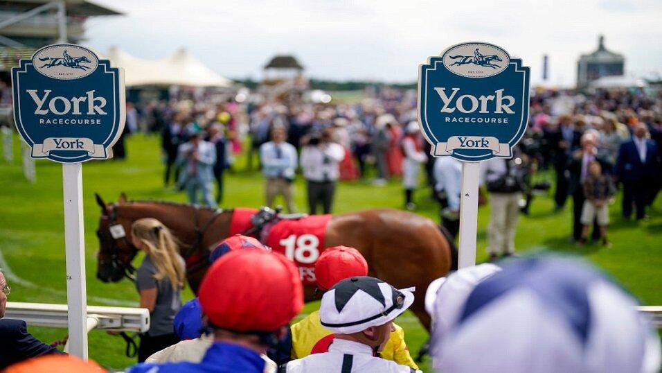 Outsmart The Bookies Timeform Daily Views Friday Racing Tips - naxlshv