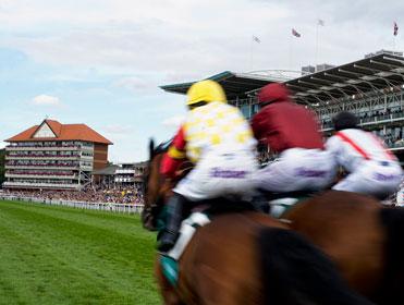 Timeform bring you three bets on the second day of York