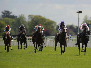 An excellent four days of racing starts at York today