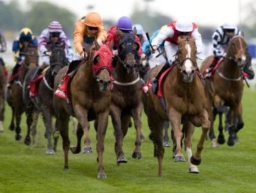 http://betting.betfair.com/horse-racing/York_Big_Field.jpg