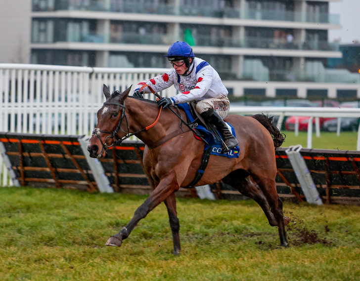 Hermes Allen jumping a hurdle.