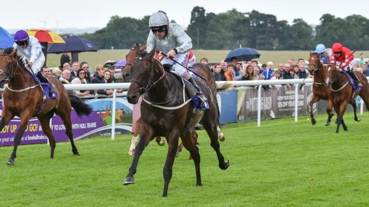 flat racing 