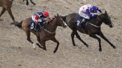 Lingfield