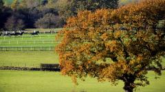 Carlisle racecourse