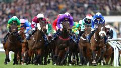 Cheltenham Festival horse racing
