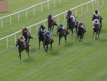 Racing comes from The Curragh on Sunday
