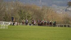Taunton Racecourse