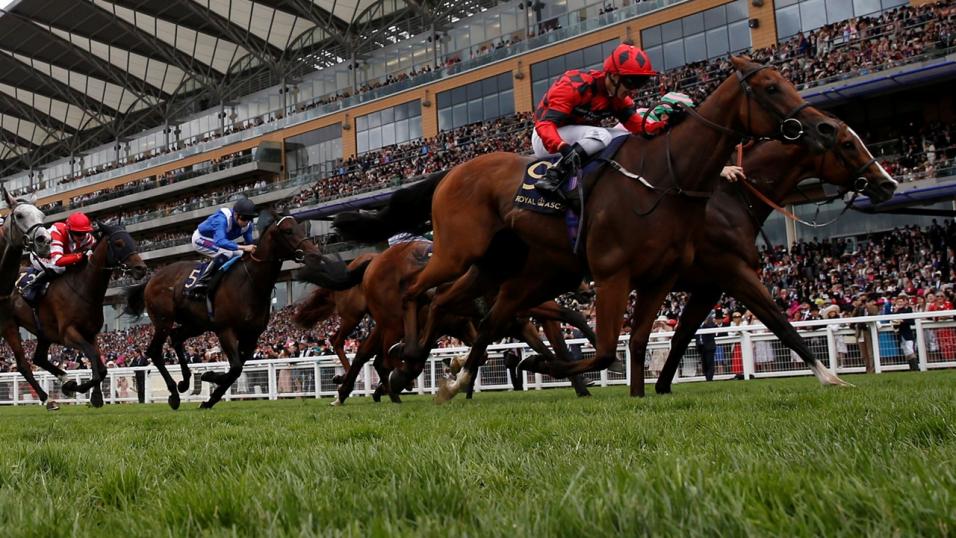 The Champion Stakes takes place at Ascot on Saturday