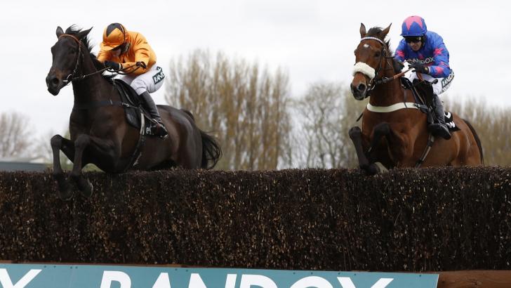 Can Tea For Two (left) spring a surprise in the Cotswold Chase?