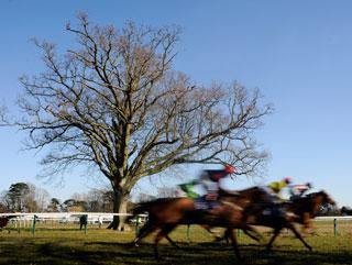 Two of Wednesday's bets come from Fontwell