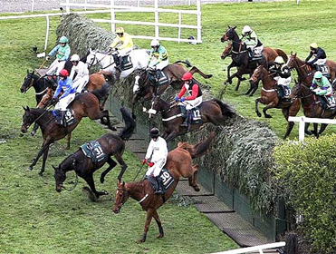 The Grand National is the biggest race of the year