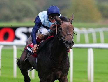 Kingston Hill will take all the beating in the St Leger says Ryan