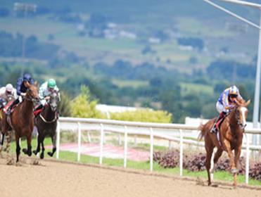 http://betting.betfair.com/horse-racing/images/MarsAOB.png
