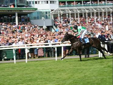 http://betting.betfair.com/horse-racing/images/NewcastleRaces.jpg