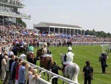 Newton Abbot is the venue for two of today's FTM selections