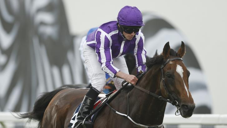 Ryan Moore will be aboard Highland Reel in the Breeders' Cup Turf and Tony Keenan thinks the horse can repeat last year's win.