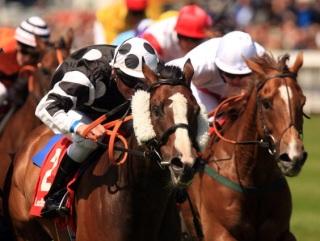 http://betting.betfair.com/horse-racing/images/Stonecrabstomorrow.jpg