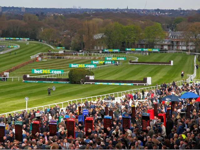 We're racing at Sandown (pictured), Ayr, Chepstow, Wolverhampton, and Limerick today