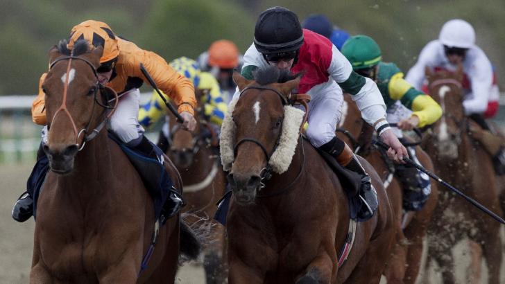 There is all-weather racing from Lingfield on Saturday