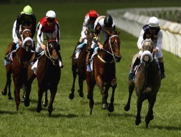 http://betting.betfair.com/horse-racing/manighar.jpg