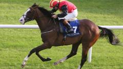 Ultra Pride horse racing