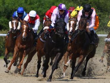 Wolverhampton is the venue for all four of today's FTM picks