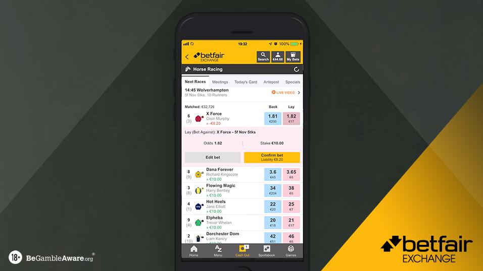 how to bet lay on betfair , how much money can you make trading on betfair