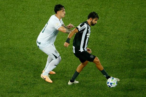 Botafogo x Grêmio ao vivo: onde assistir ao jogo do Brasileirão online