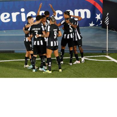 Botafogo x Red Bull Bragantino: palpites, odds, onde assistir ao vivo,  escalações e horário