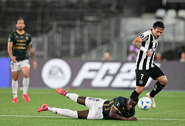 Estudiantes x Botafogo: palpites, odds, onde assistir ao vivo ...