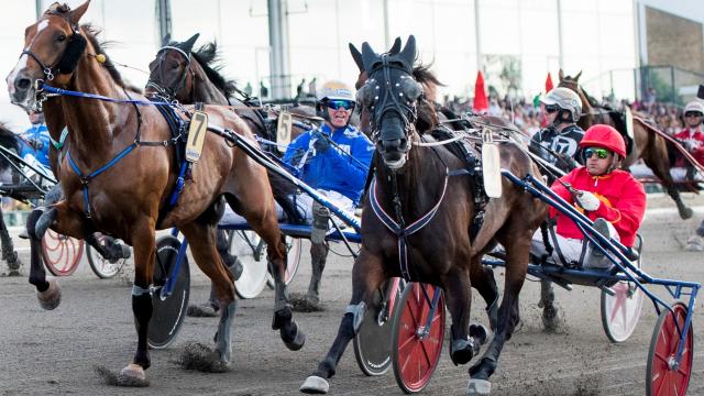 Lördagens trav på spelbörsen Ingen mening med grisfösare | Trav | Expressen
